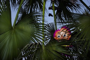 Flash Street Photography Patlu